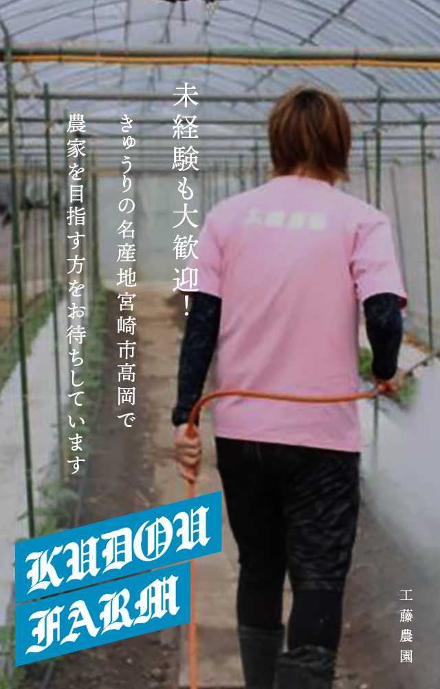 未経験も大歓迎！！きゅうりの名産地宮崎市高岡で農家を目指す方をお待ちしています！